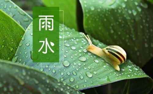 今日雨水，下雨有何预兆？晴天好还是下雨好？看看农谚就知道