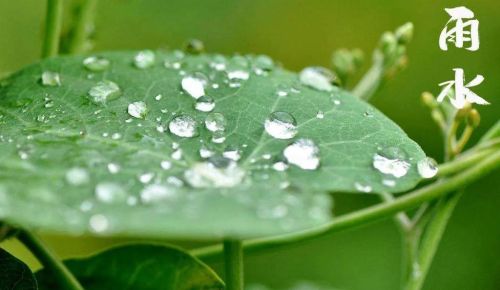 今日雨水，下雨有何预兆？晴天好还是下雨好？看看农谚就知道