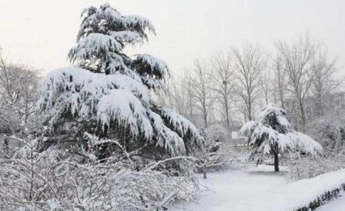 大寒第二天，暴雪范围再次扩大，春节冷不冷？谚语咋说