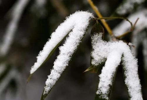 大寒第二天，暴雪范围再次扩大，春节冷不冷？谚语咋说