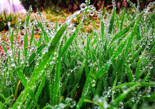 天气预报：“一九”天气晴好阴雨有啥预兆？看看农谚怎么说