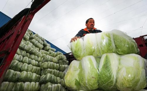 鸡蛋价格破六，白菜追“肉价”，淡水鱼集体破十，背后发生了啥