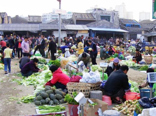 重阳节后菜价飞涨，“向前葱”、“辣你心”来袭，咋回事？