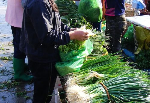 重阳节后菜价飞涨，“向前葱”、“辣你心”来袭，咋回事？