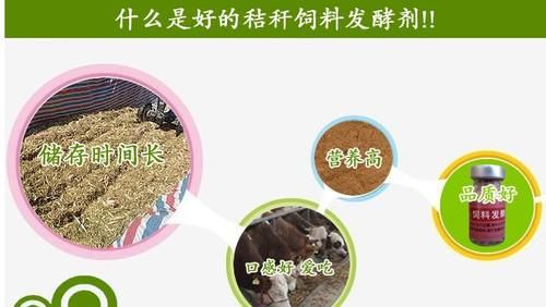 玉米秸秆弃之可惜，有何办法提升价值？4招变废为宝