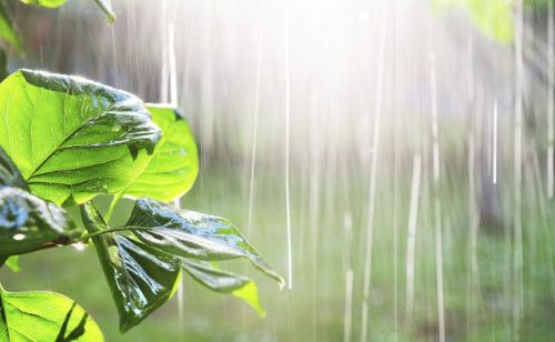 天气预报：今年冬季雨雪多不多，冷不冷？八月十五农谚告诉你