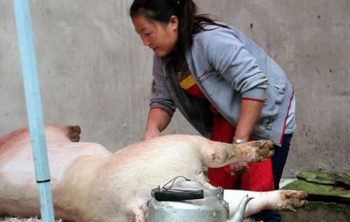 在农村杀猪的人，看上去膀大腰圆，为何他们的寿命却很短？