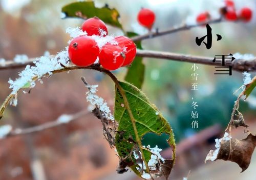 明日小雪，老话“明春旱不旱，小雪早看天”：怎么看？有道理吗？