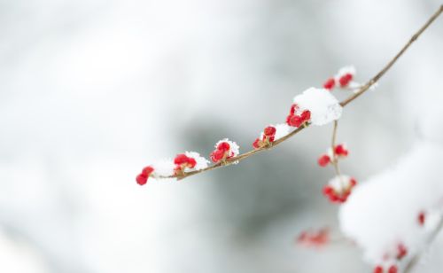 明日小雪，老话“明春旱不旱，小雪早看天”：怎么看？有道理吗？