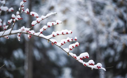 明日小雪，老话“明春旱不旱，小雪早看天”：怎么看？有道理吗？