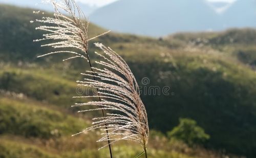 祖先留下的10条俗语，时隔千年依然适用：句句在正理上