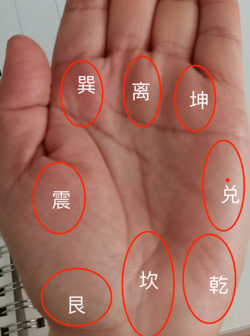 掌上三峰鼓鼓，一生不受穷苦：手掌上哪里鼓，象征财富和好运？