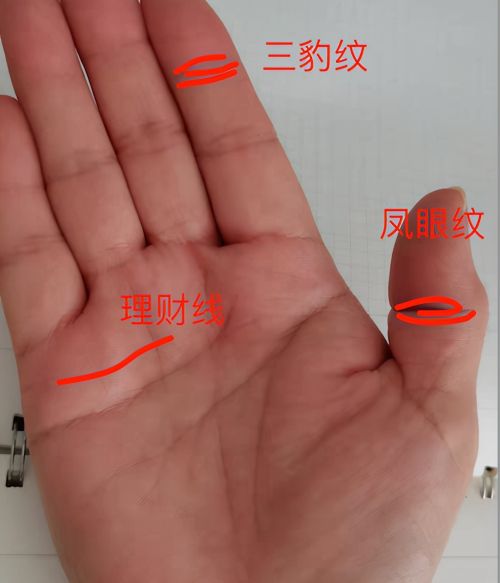 豹纹、凤眼、理财线：有这些手纹的人偏财不断，另外三个也有财运