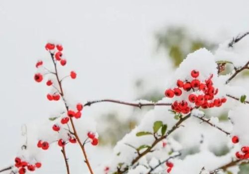 明天正月二十“天穿节”，老话：“天穿怕晴”啥意思？有哪些预兆