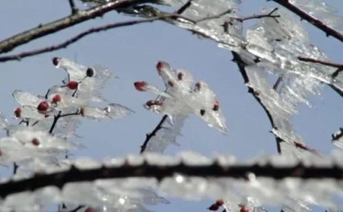 天气预报：今秋收不收，雨水多少？冬天会冷吗？八月初一有预兆