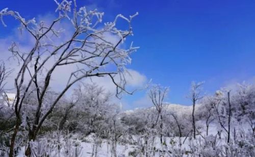 天气预报：今年会是暖冬吗？冷热？昨天七月十五有预兆，谚语咋说