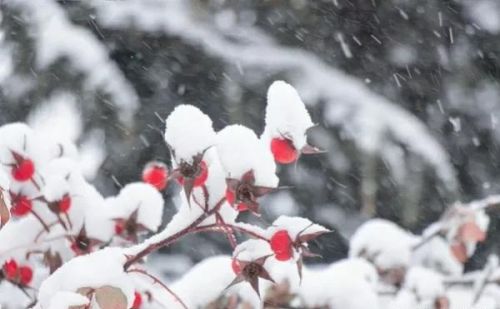 天气预报：今年会是暖冬吗？冷热？昨天七月十五有预兆，谚语咋说