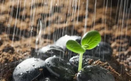 天气预报：今年三伏雨水多少，热不热？六月十八“头伏”有预兆