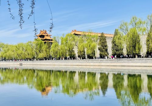 天气预报：清明节，刮大风下雨啥预兆？看看谚语怎么说