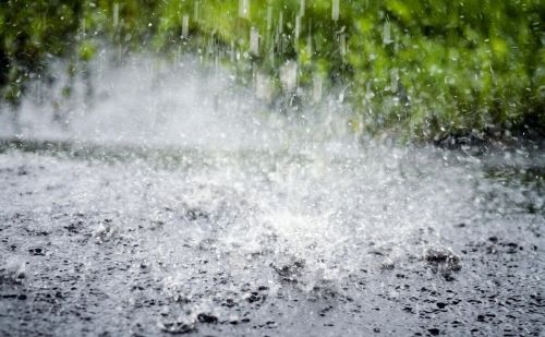 天气预报：清明节，刮大风下雨啥预兆？看看谚语怎么说