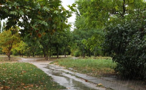 天气预报：二月十二晴天或下雨，啥预兆？看看农谚怎么说