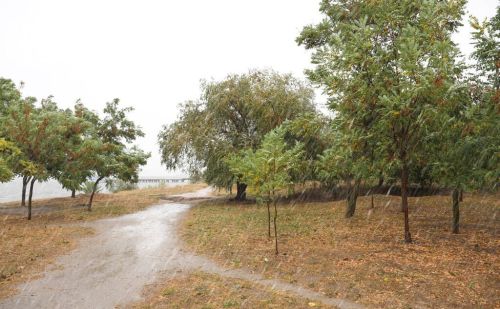 天气预报：二月十二晴天或下雨，啥预兆？看看农谚怎么说