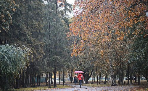 天气预报：二月十二晴天或下雨，啥预兆？看看农谚怎么说