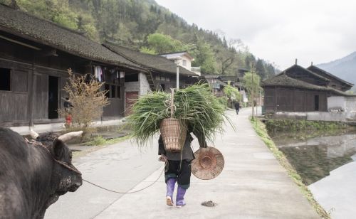 看人宰牛手剪背，牛王菩萨不降罪，看客为何要把手放在腰后？