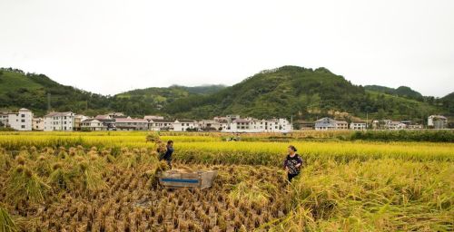 为什么湖南农村人家都有一个堂屋，有哪些民俗讲究？