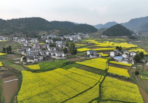 俗语：面对青山出孝子，背朝平岭出贤人，真是如此吗？