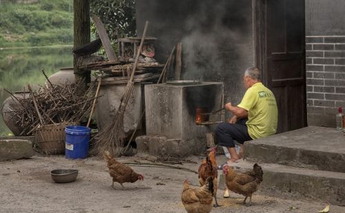 拦鸡门，过去农村普遍安装的一种门，现在农村还用不用这种门？