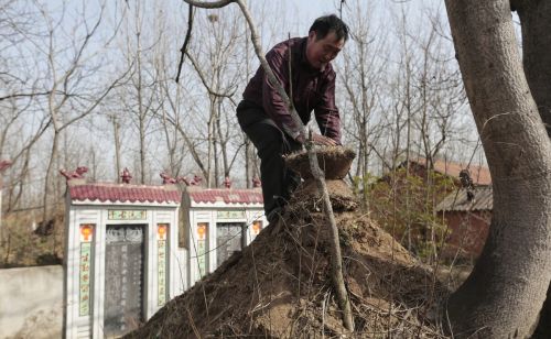 农村俗语：“千年坟场不如当年屋场”，什么意思？为什么这么说？