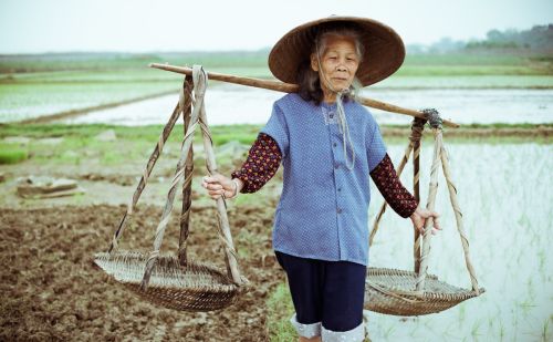 俗语：人生活过六十春，两大喜事五大生，两大喜事和五大生指啥？