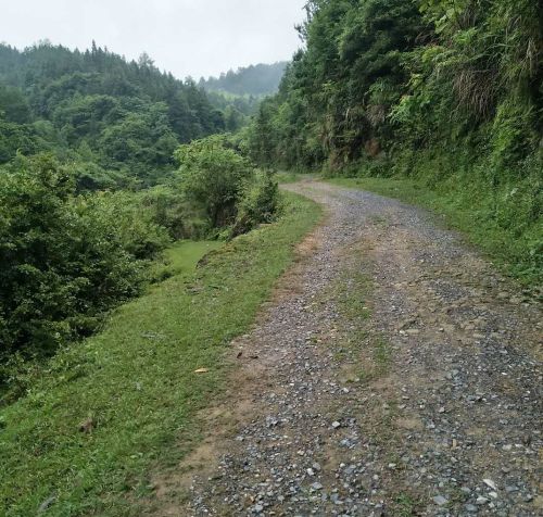 乡村记忆：一双绣花鞋垫