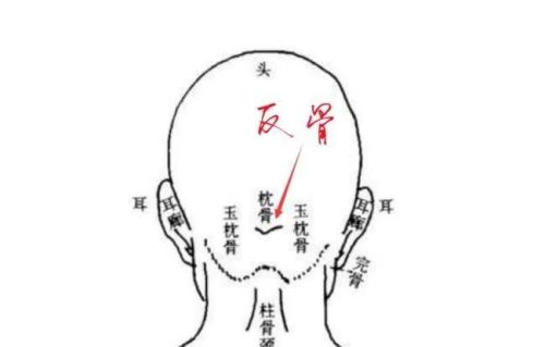 俗话说“天生反骨”，有反骨的人什么样？有反骨的人到底好不好？