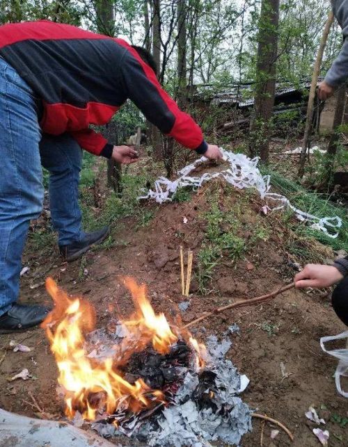 清明节上坟的讲究，上坟的供品能带回家吗？老祖宗这么说。