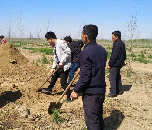 清明上坟有讲究，添土不能随便添，清明节上坟添土有什么讲究呢？