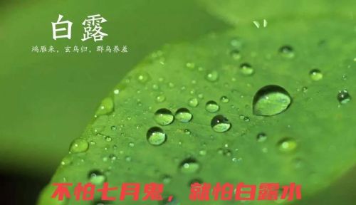 老话说：不怕七月鬼，就怕白露水，这句话有道理吗？