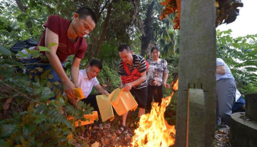 老一辈说：“清明上坟，有三不种，三不带，三不去”，分别都是啥