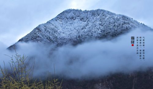 农村俗语“霜降无雨，暖到立冬”是什么意思？预测今年寒冬