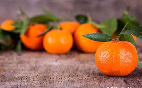 柑橘成熟后，五点采摘技巧分享，减少伤果