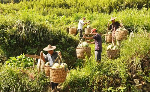 农村俗语：“有钱不买河边地，有钱不娶活汉妻”是啥意思？