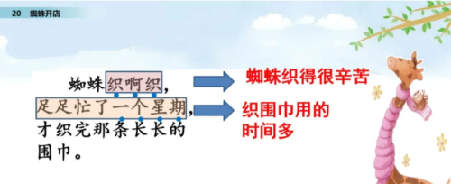 部编版语文二年级下册第20课《蜘蛛开店》第二课时学习指导