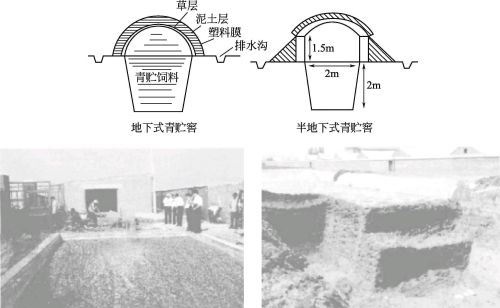 秸秆青贮技术特点及方式介绍