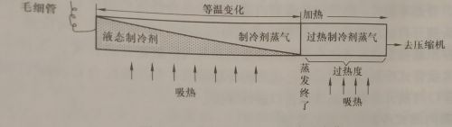 蒸发器的相关知识