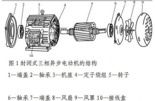 三相异步电动机基础简单介绍，使你更加了解三相异步电动机