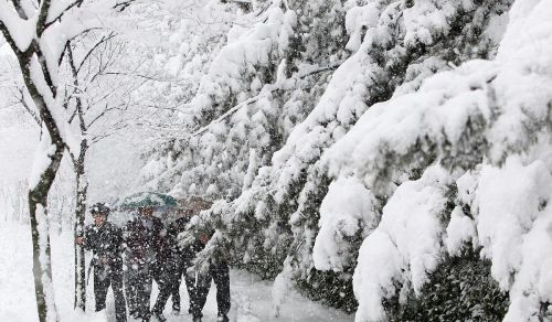 今年是“暖夏”还是“冷夏”，看看农村老俗语就知道了