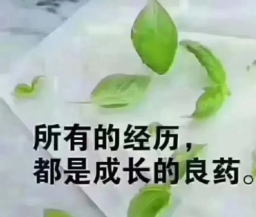 绝对好句子，你记录下来哪些呢？