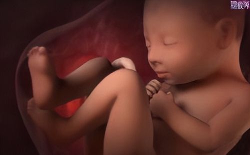 堕胎手术是怎么做的