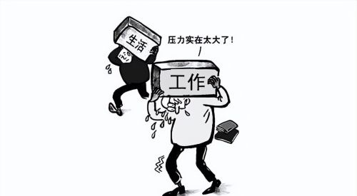 有什么汤是比较简单好做的，又可以治失眠补气血？